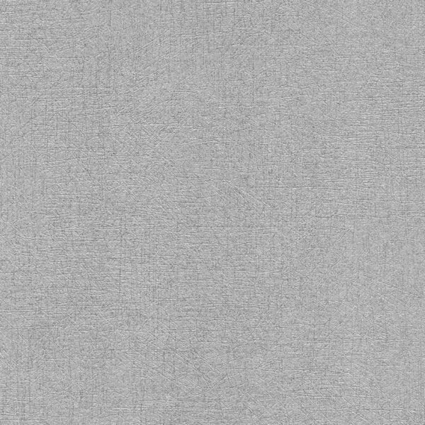 BLV1 SP-37-54