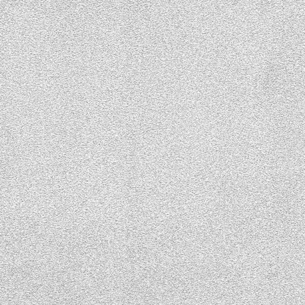 BLV2 BB-WP-56