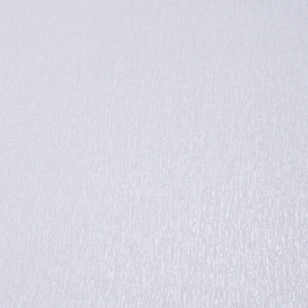 CMO 03835-50