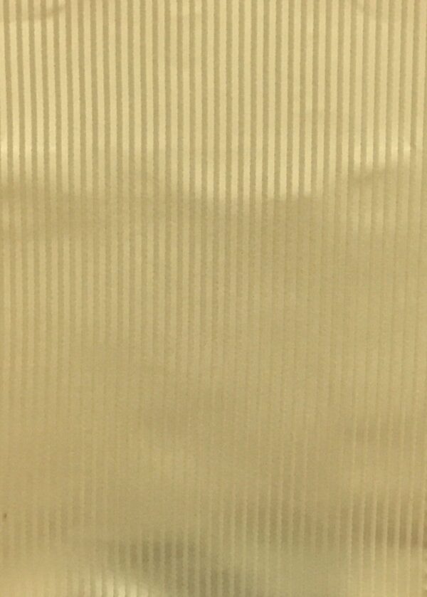 Darwin Stripe-22.