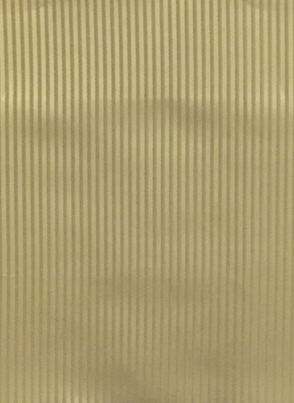Darwin Stripe-404.
