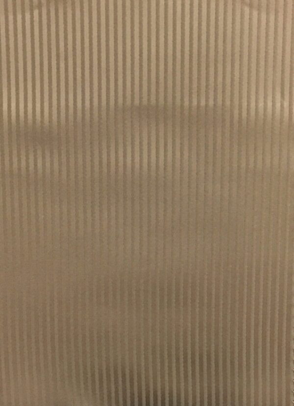 Darwin Stripe-424.