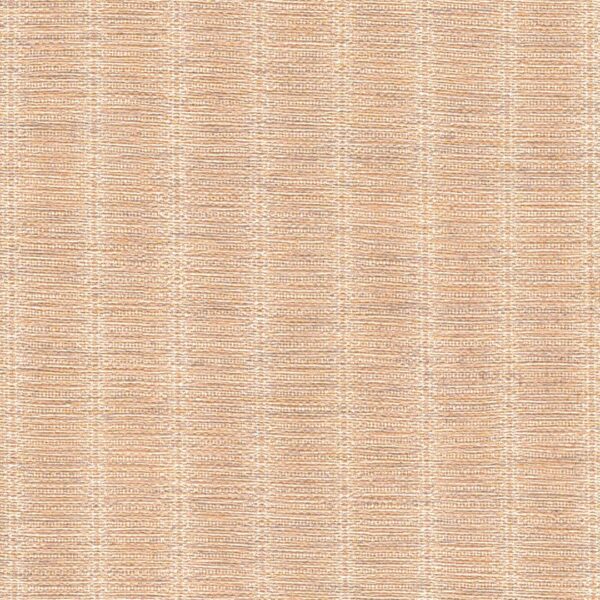 FBACK S SP-04-81