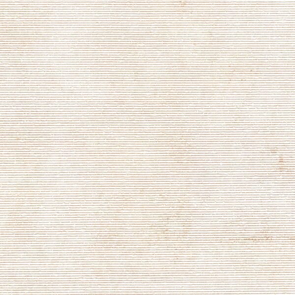 FBACK S W2-RG-01
