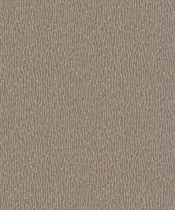NTF2 NF232044