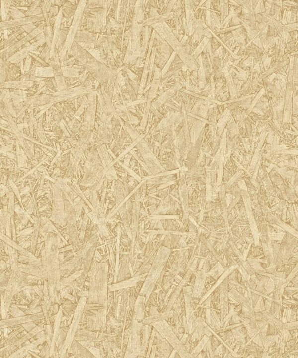 NTF2 NF232064