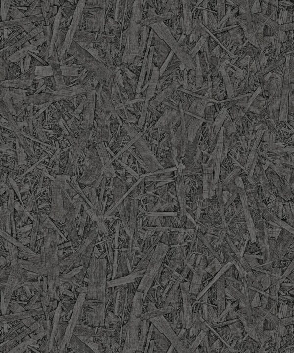 NTF2 NF232065