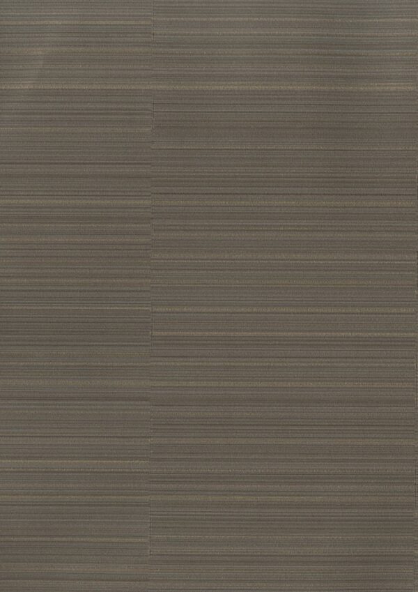 ONYX 81008-5