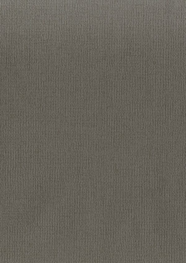 ONYX 81010-6