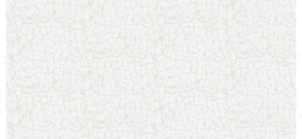 POLARIS2 691-1