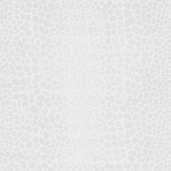 S&S 13017-50