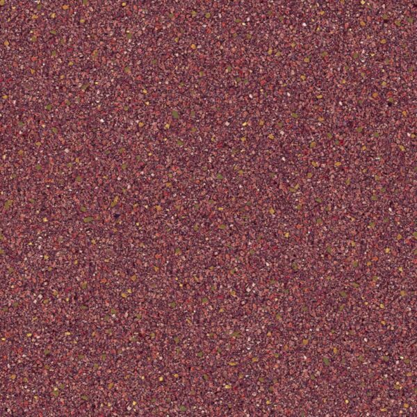SD2 SR210206