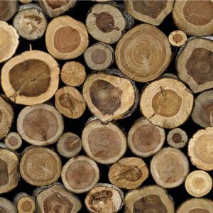 SEHL SAE1952 #  DV1431