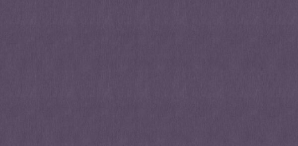 SSS 10025-5