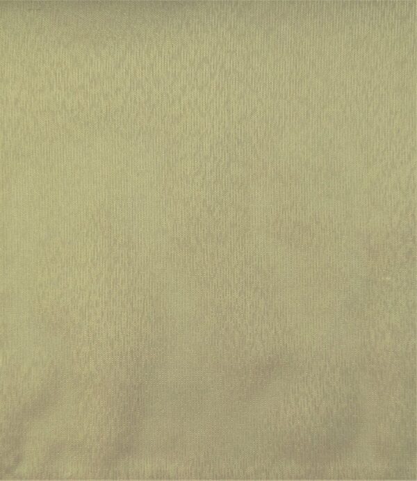 Snow-1019
