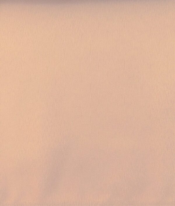 Snow-1147