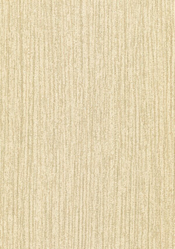 TEX GT1005-6