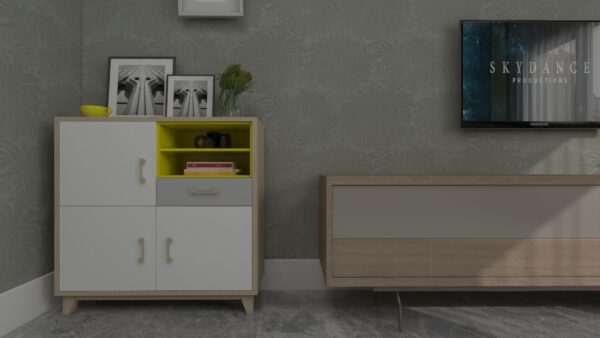 VILL 51019