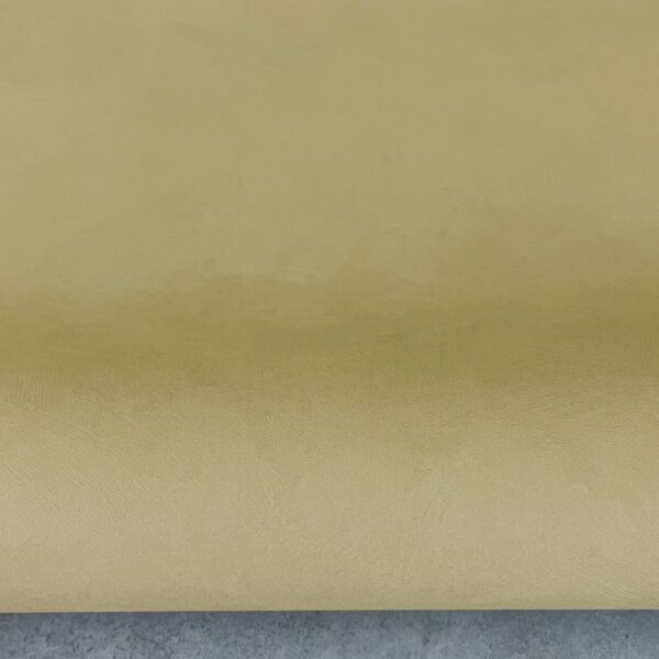VILL 51051